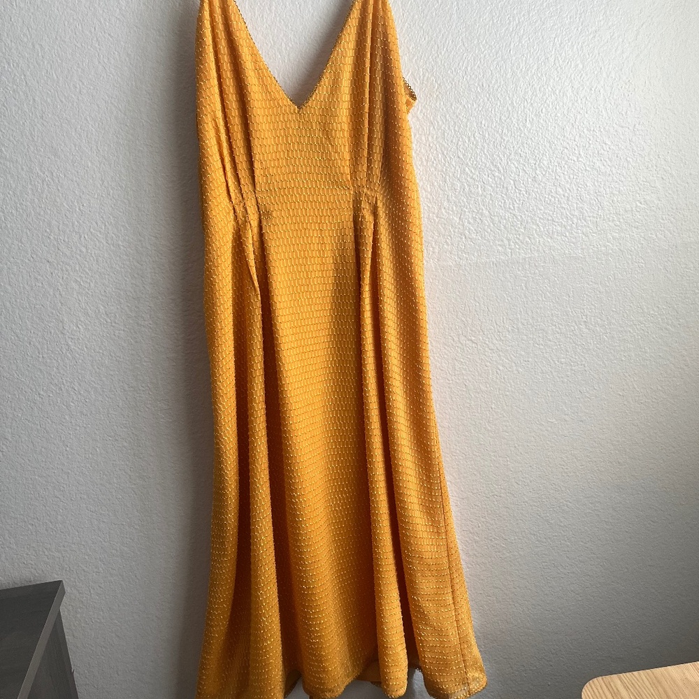 REVOLVE Ines Dress House of Harlow 1960